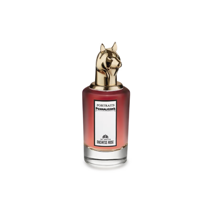 The Coveted Duchess Rose