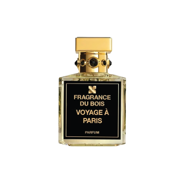Voyage À Paris
