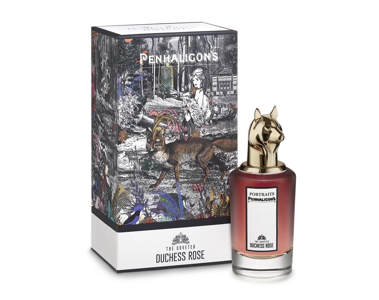 The Coveted Duchess Rose