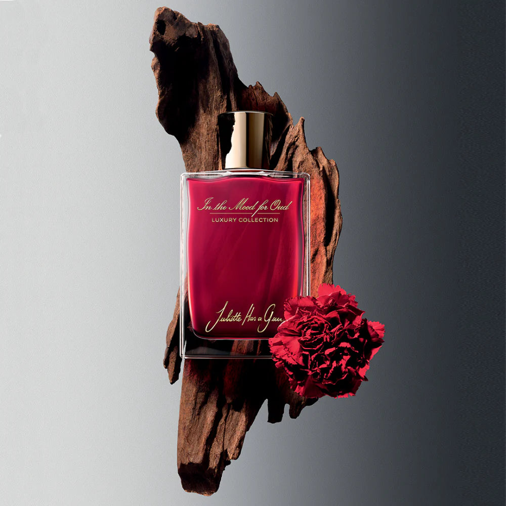 In The Mood For Oud