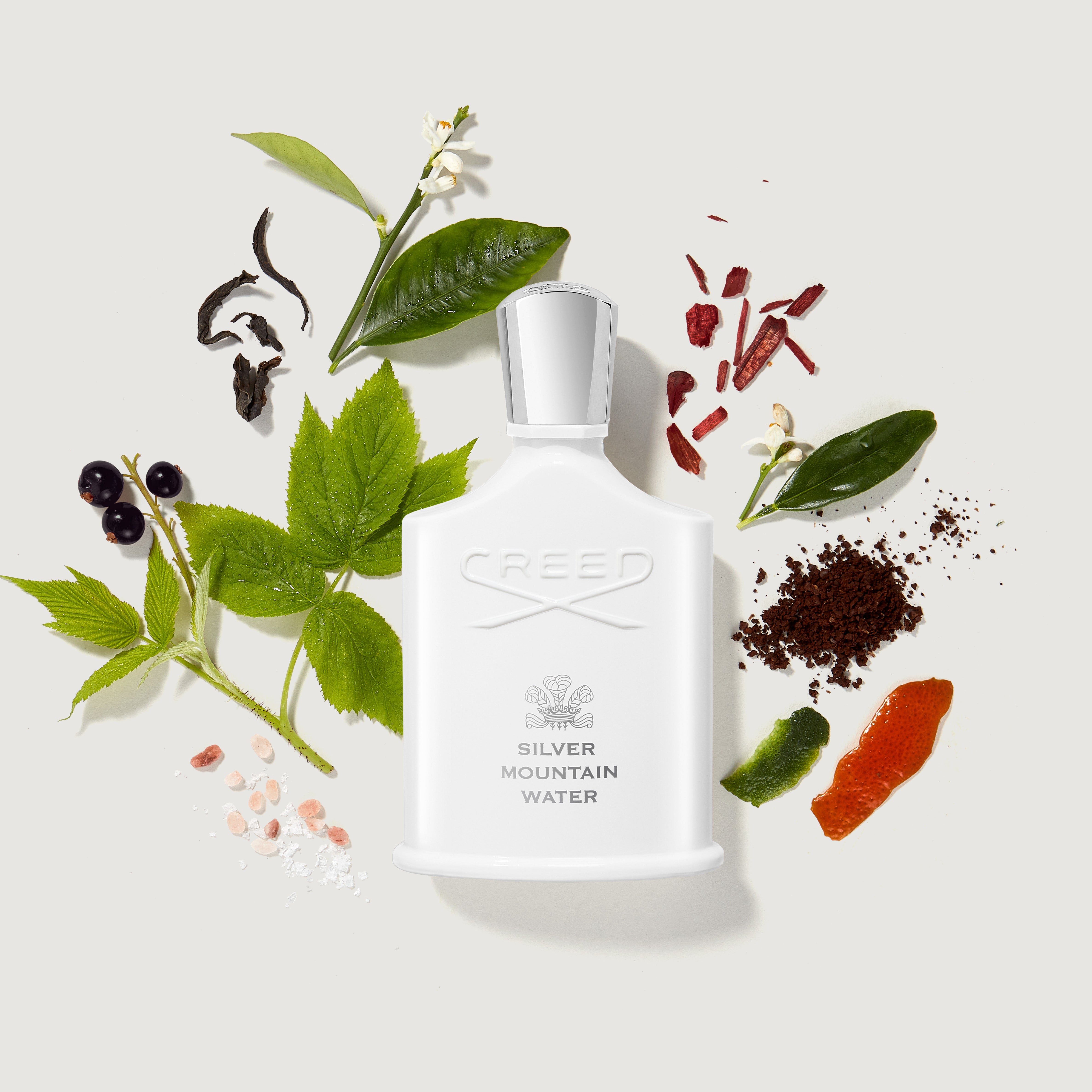 Millesime Silver Mountain Water