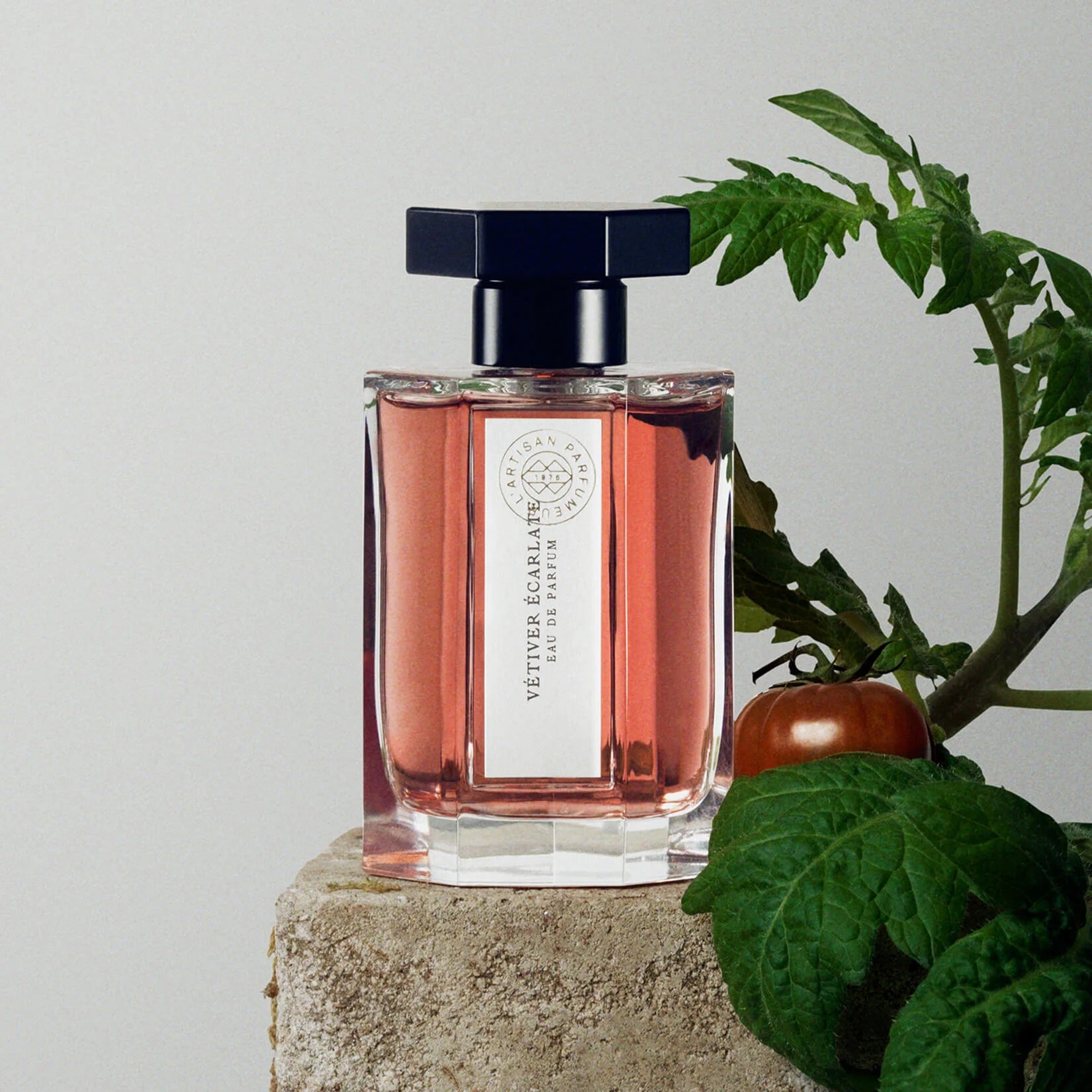 Vetiver Ecarlate