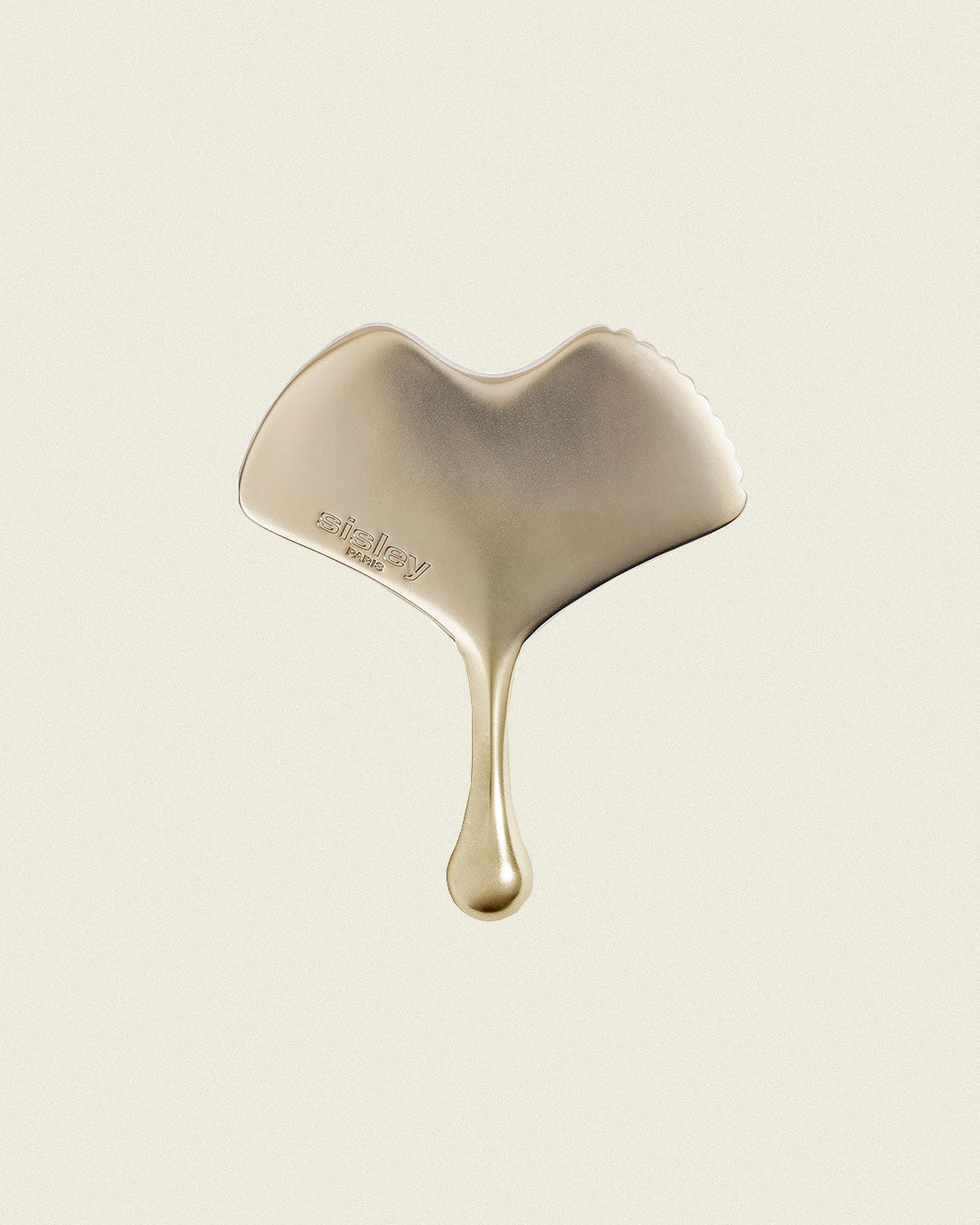 Ginkgo Gua Sha