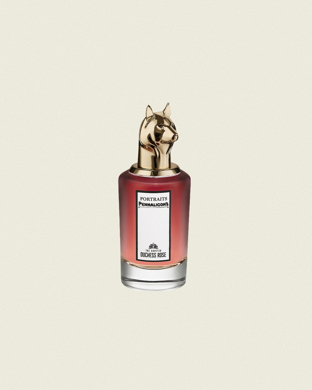 The Coveted Duchess Rose